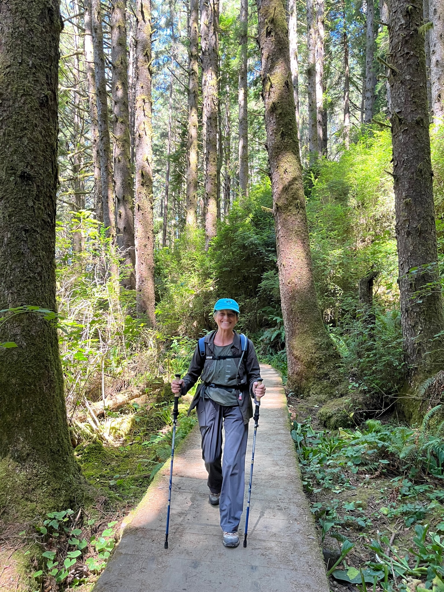 Deborah Ferns trail